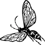 Ilustração em vetor de vespa