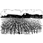 Gambar vektor vineyard Provence