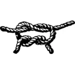 Overhand knot vector image
