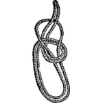 Bowline on a bight knot vector image