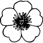 Buttercup flower vector clip art