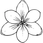 Vector bildet av crocus blomst ovenfra