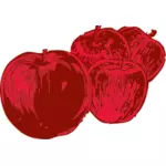 Äpfel-Vektor