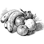 Vector images clipart de fruits