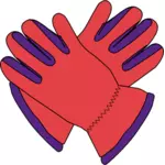 Gloves vector image