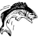 Salto immagine vettoriale di pesce