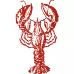 Lobster vektor gambar