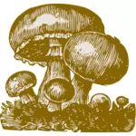 Mushrooms vector image