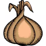 Ripe onion vector clip art