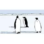 Pingviner vektor illustration