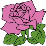 Vector clip art of rose