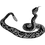Rattlesnake vector clip art