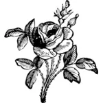 Image vectorielle rose