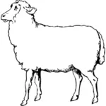 羊矢量绘图