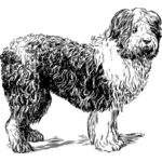 Imagen vectorial perro ovejero