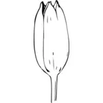 Tulipán bud vektorové ilustrace