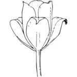 Grafica vettoriale di fiore tulipano