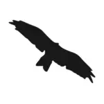 Terbang burung silhouette