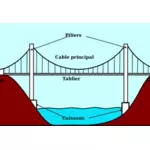 Векторные картинки подвесной мост на французском языке