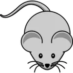 Wektor rysunek kreskówka mysz długie wąsy