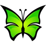 Mariposa vector illustration