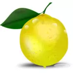 Photorealistic lemon with a leaf vector illustration