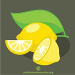Zitronen-Vektor-Bild