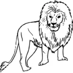 African lion vector linie de arta