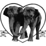 Elefanti amante