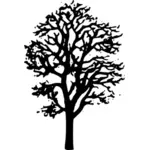 Ahorn Baum Vektor Zeichnung