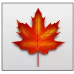 Brown maple leaf vector image