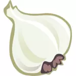 Vector image of garlic