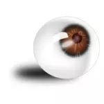 Brown eyeball
