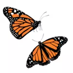 Vektor Klipart černé a oranžové motýlů