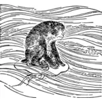 Grafica de maimuţă echitatie un meduze