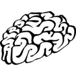 Desenho vetorial de cérebro humano extraído mão