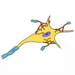 Dibujo vectorial de neurona simple