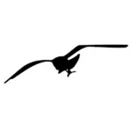 Graphiques vectoriels silhouette d'une mouette en vol.
