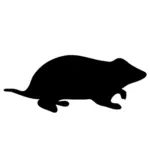 Hamster kontur vektör görüntü