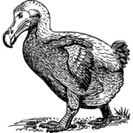 Dodo bird vector clip art