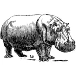 Nijlpaard vector illustraties