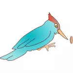 Woodpecker vector image