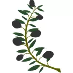 Olivengren med sorte oliven