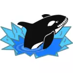 Vector bildet av store orca smilende sadistically