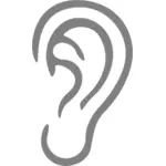 Gray ear illustration