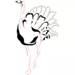 Struisvogel met roze benen vectorillustratie