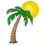 Palmeira e o sol
