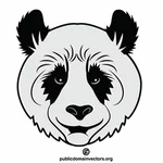 Cabeza de oso panda