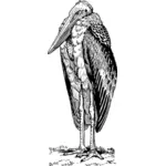 Greater Adjutant bird vector drawing