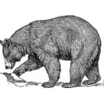 Bleistiftzeichnung Vektor Zeichnung eines großen Bären